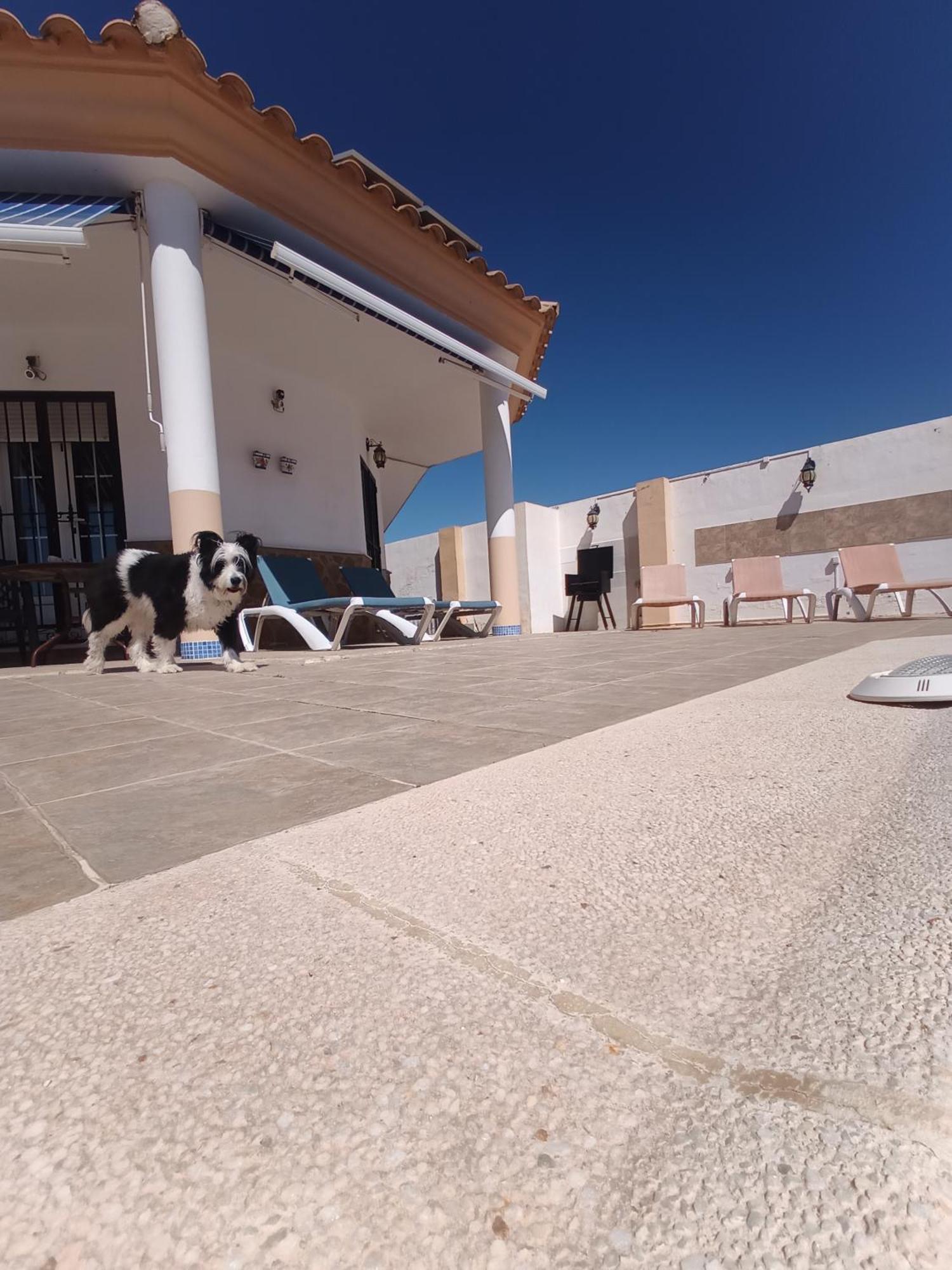 Willa Bonita Casita Luz Del Sol Arboleas Zewnętrze zdjęcie